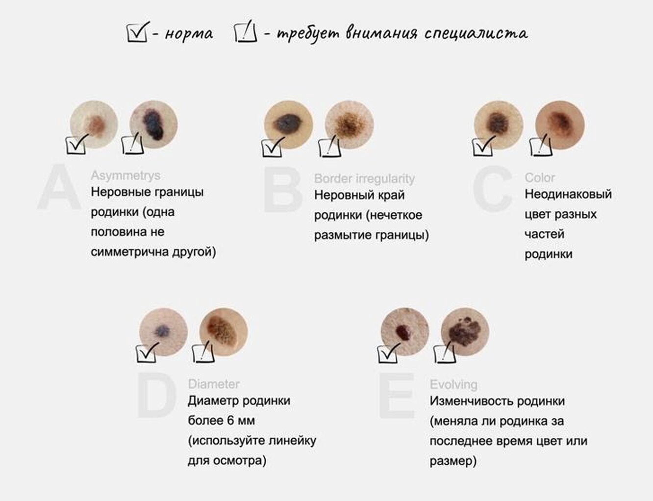 как по форме носа определить форму члена фото 105